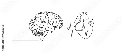 Brain Impact on Heart. Minimalistic one-line drawing brain with lines extending to a heart representing neurological influence on cardiovascular health,