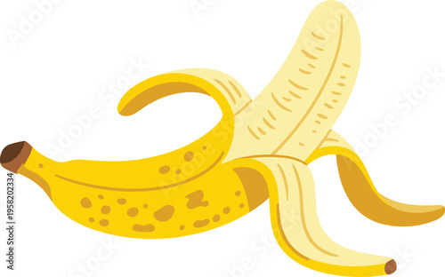 Peeled yellow banana fruit vector illustration with skin texture and realistic detail isolated on white for food design.