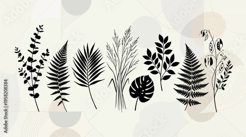 Botanical silhouette arrangement with balanced spacing, modern minimal vector background