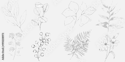 Delicate botanical sketch featuring various plant stems and foliage