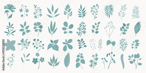 A collection of delicate teal botanical illustrations and leafy sprigs