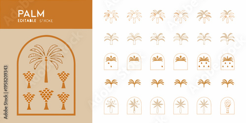 Minimalist palm tree illustrations and arch shapes in a neutral color palette
