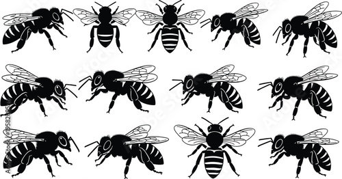 Bee illustration collection, black and white insect icons, detailed wings and body segments, top-down and side view, nature design, pollination concept