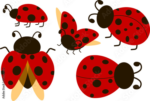 Whimsical hand drawn ladybug illustrations with red shells and black spots, minimalist beetle characters perfect for nursery textiles and spring product packaging.