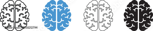 Four brain illustrations in different colors on a white background