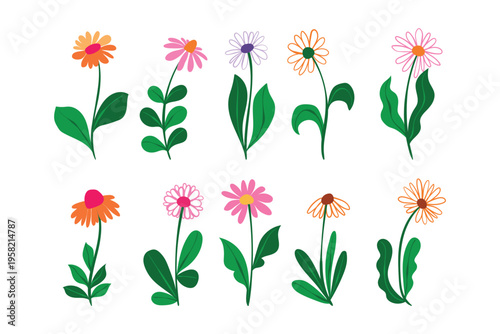 Colorful Hand Drawn Cartoon Floral Icon Collection. Sweet doodle drawings of flat daisy and wildflower symbols isolated on white background. Spring and garden plants perfect for wedding, greeting