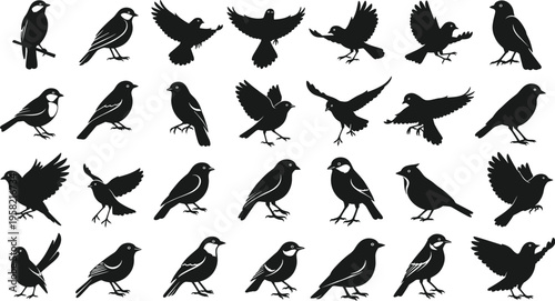 Bird silhouette collection flying perccollection flying perched sparrow crow wildlife animals blac