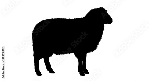 Black silhouette of a sheep standing