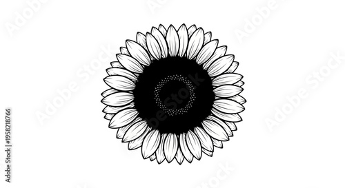 Black and white illustration of a sunflower