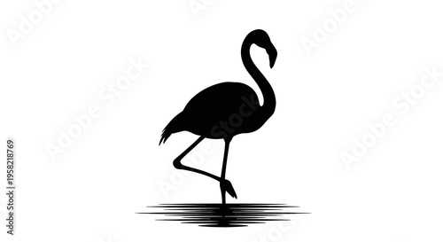Black silhouette of a flamingo standing in water