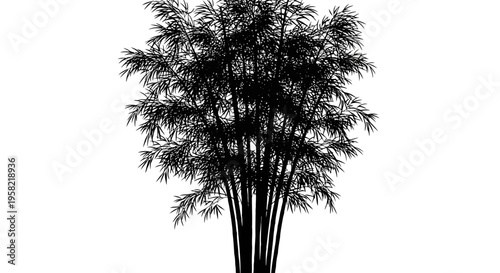 Silhouette of a bamboo plant with many stems and leaves