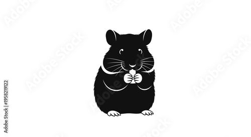 Black chinchilla holding a white flower