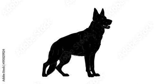 Black german shepherd dog silhouette standing