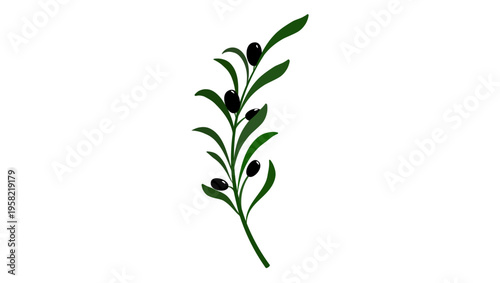 olive branch , flat color vector illustration
