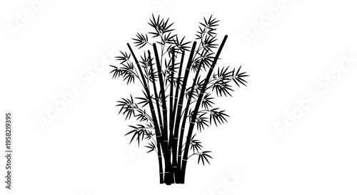 Black silhouette of bamboo plant with multiple stems and leaves