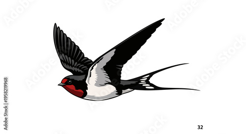 A redrumped swallow in flight with wings spread wide