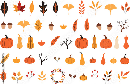Collection of various autumn elements including pumpkins squash acorns leaves and bare branches Vector