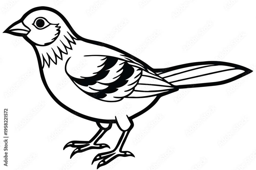 Obraz premium rosella bird silhouette line art vector illustration with a white background