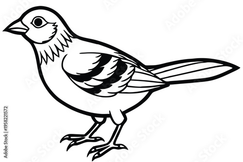 rosella bird silhouette line art vector illustration with a white background