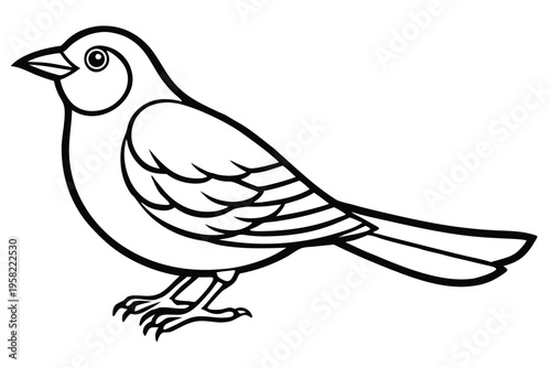 rosella bird silhouette line art vector illustration with a white background