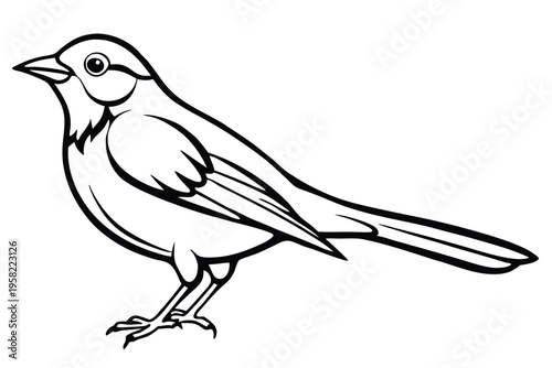 rosella bird silhouette line art vector illustration with a white background