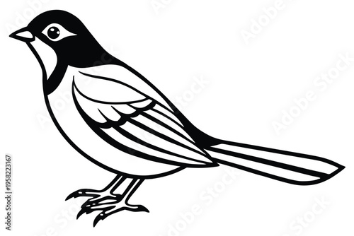 rosella bird silhouette line art vector illustration with a white background