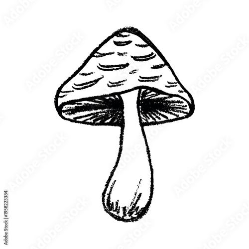 Hand drawn mushroom doodle Botanical illustration Cute autumn mushroom Healthy eco food Organic vegetarian food For stickers, greeting card, design, print, packaging, decor, kids books