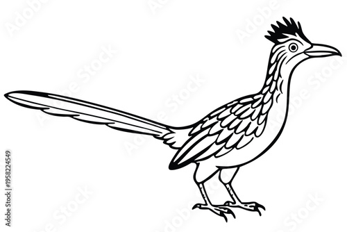 Cuadro en lienzo roadrunner bird silhouette line art vector illustration with a white background