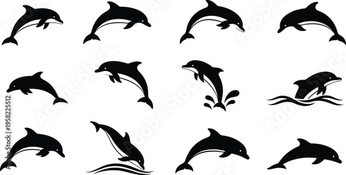 Dolphin silhouette icon collection, marine wildlife vector set, ocean animal artwork design, aquatic motion illustration graphic, flat vector illustration