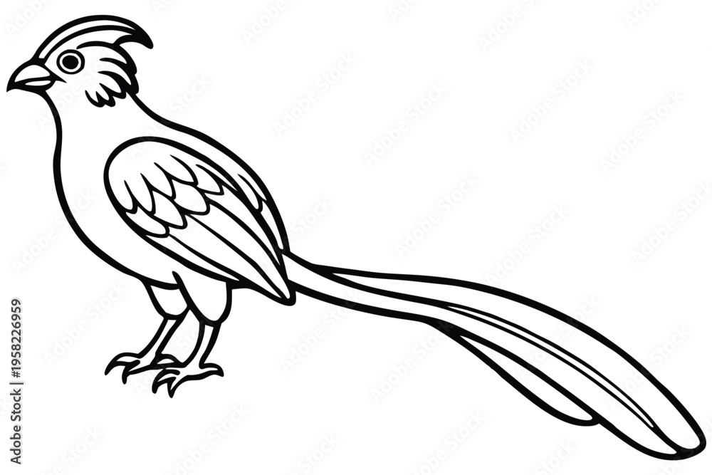 Fototapeta premium roadrunner bird silhouette line art vector illustration with a white background