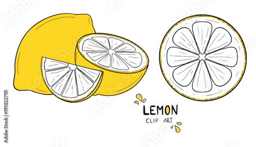 set of fresh lemon clip art. fresh lemon and slice lemon. clipart for graphic resources