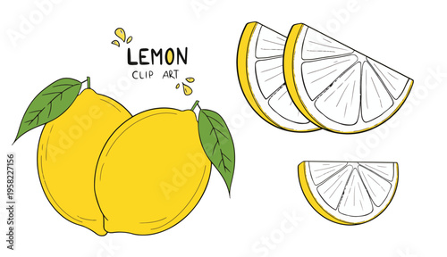 set of fresh lemon clip art. two of lemon and wedge slice lemon. clipart for graphic resources