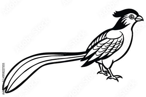roadrunner bird silhouette line art vector illustration with a white background