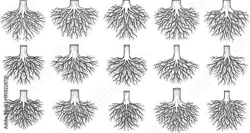 Tree root silhouette icon, botanical design, plant anatomy, branching system, natural growth, ecology element, black vector, minimalist style, flat illustration