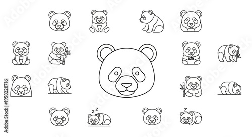 Collection of various bear drawings.
