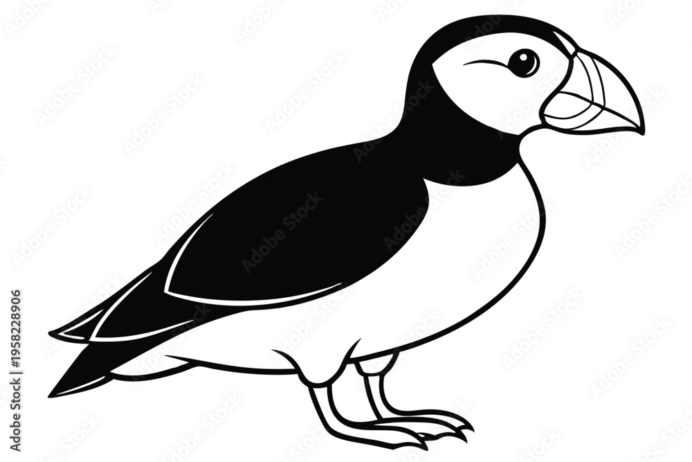 Fototapeta premium puffin bird silhouette line art vector illustration with a white background