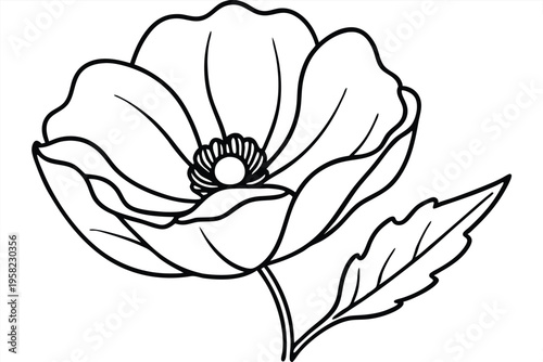 poppy flower silhouette line art vector illustration with a white background