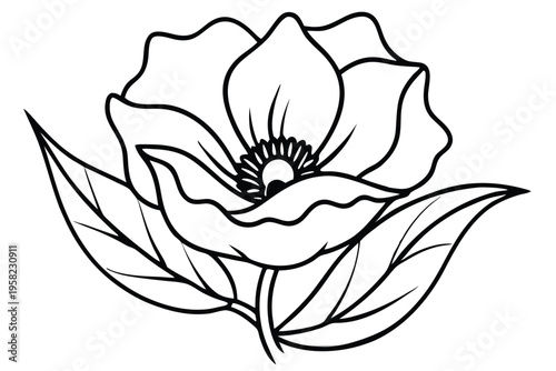 poppy flower silhouette line art vector illustration with a white background