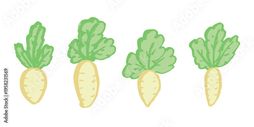 Hand drawn farm daikon radish plant with green leaves Fresh vegetable doodle set Healthy eco food Organic garden vegetarian food For design, print, packaging, decor, kids books