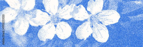 Blue cyanotype apple blossom botanical background. Stipple dot overlay texture with flower and twig silhouette. Delicate indigo blue nature banner for template and graphic design project.