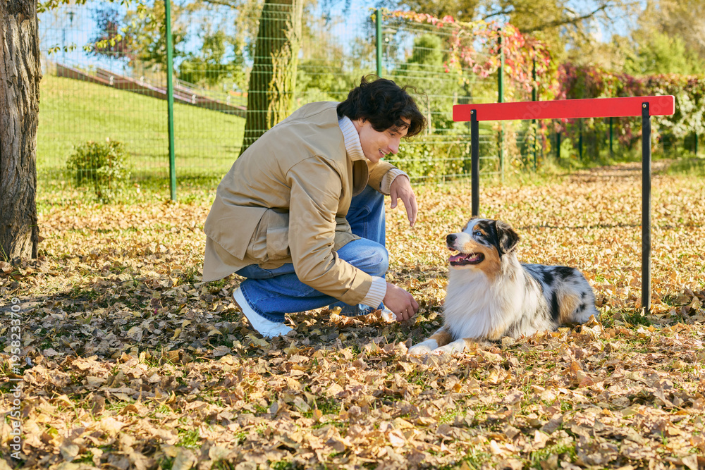 Fototapeta premium Curly-haired young man enjoys autumn with his Australian Shepherd dog in the park