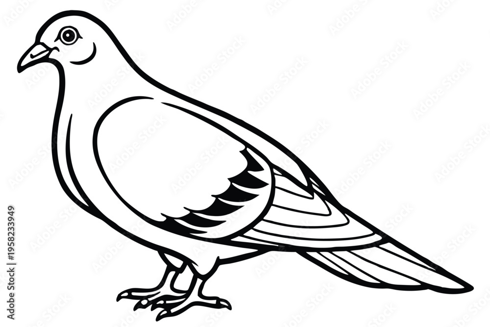 Obraz premium pigeon silhouette line art vector illustration with a white background