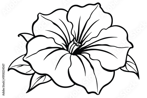 petunia flower silhouette line art vector illustration with a white background