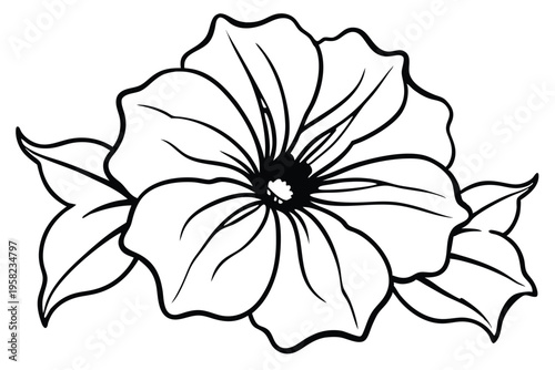 petunia flower silhouette line art vector illustration with a white background