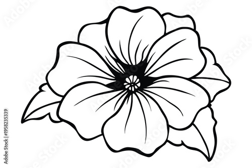 petunia flower silhouette line art vector illustration with a white background