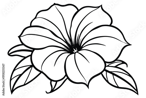 petunia flower silhouette line art vector illustration with a white background