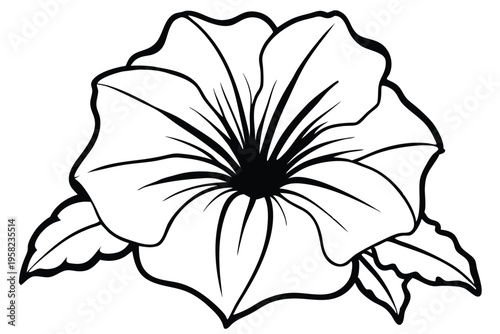 petunia flower silhouette line art vector illustration with a white background