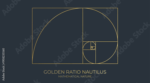 Golden Ratio Nautilus Shell Vector