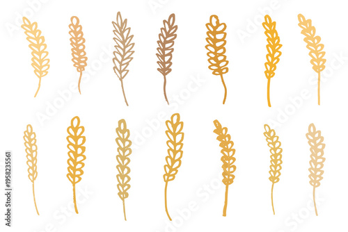 Set of hand drawn cereal wheat oat rye barley rice ears spikelet clipart Organic wheat bread agriculture farming harvest healthy food Single element for design print packaging label decor