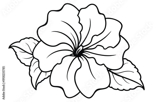 petunia flower silhouette line art vector illustration with a white background